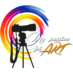 My Passion For Art